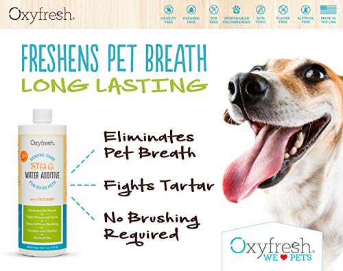 Oxyfresh Premium Pet Dental Care Solution Pet Water Additive: Best way ...