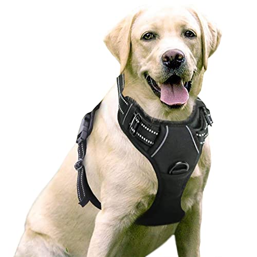 Rabbitgoo Dog Harness, No-Pull Pet Harness with 2 Leash Clips Review