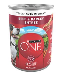 Purina ONE Tender Cuts in Gravy Beef and Barley Entree in Wet Dog Food Gravy – (12) 13 oz. Cans