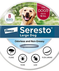 Seresto Large Dog Vet-Recommended Flea & Tick Treatment & Prevention Collar for Dogs Over 18 lbs. | 8 Months Protection