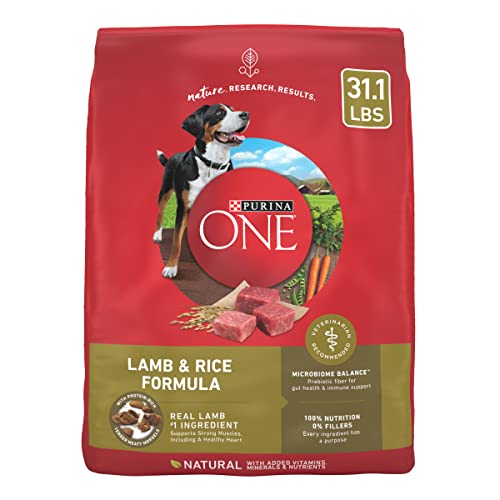 Purina ONE Dry Dog Food Lamb and Rice Formula – 31.1 lb. Bag