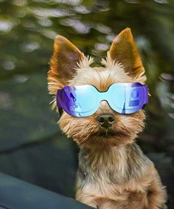 ENJOYING Dog Goggles Small Dog Sunglasses UV Protection Big Cat Glasses Fog/Windproof Outdoor Doggy Eye Protective with Adjustable Band for Small Dogs, Blue