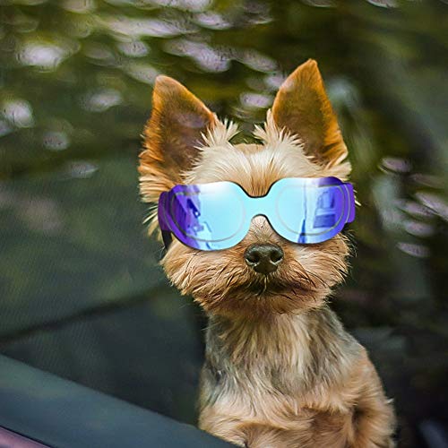 ENJOYING Dog Goggles Small Dog Sunglasses UV Protection Big Cat Glasses Fog/Windproof Outdoor Doggy Eye Protective with Adjustable Band for Small Dogs, Blue