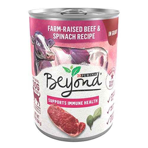 Purina Beyond Farm-Raised Beef and Spinach in Gravy Grain Free Wet Dog Food – (12) 12.5 oz. Cans