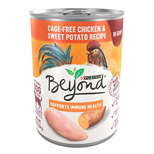 Purina Beyond Chicken and Sweet Potato in Gravy Grain Free Wet Dog Food – (12) 12.5 oz. Cans