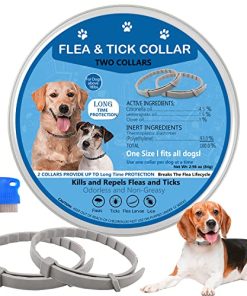 Dog Flea and Tick Collar, Flea and Tick Collar for Dogs Flea Collar for Dogs, Flea Collar, Prevention, Control, and Treatment Collar of Fleas and Ticks, Flea Mosquitoes, One Size Fits All, 2 Pack