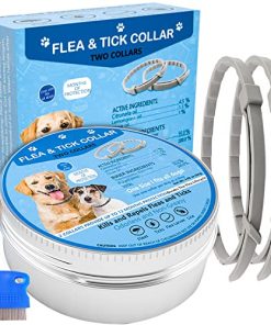 Flea Collar for Dogs, Dog Flea Collars Kill Flea and Ticks, 2 Pack Natural Flea and Tick Prevention Collar for Dogs, Water Resistant Dog Tick Collar, One Size Fits All