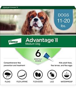 Advantage II Medium Dog Vet-Recommended Flea Treatment & Prevention | Dogs 11-20 lbs. | 6-Month Supply