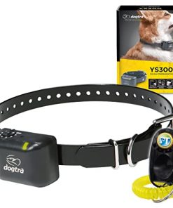 Dogtra YS300 Anti Bark Dog Collar for Small and Medium Dogs, Adjustable 6 Stimulation Levels, Vibration Warning, Low to Medium Output, Waterproof, Rechargeable w/ PetsTEK Clicker