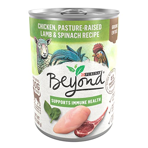 Purina Beyond Chicken, Lamb and Spinach Ground Natural Grain Free Wet Dog Food with Added Vitamins and Minerals – (12) 13 oz. Cans