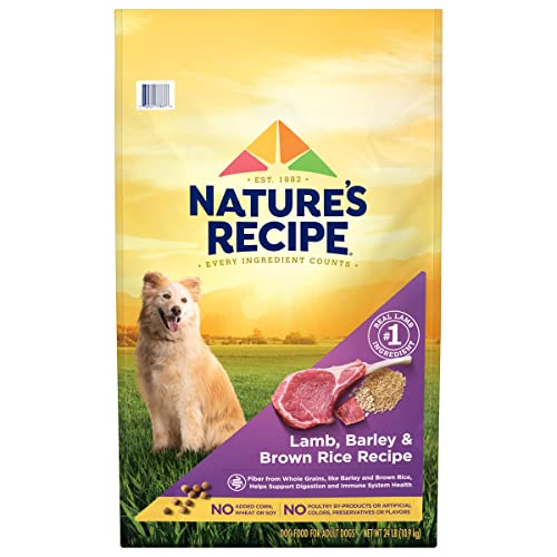 Nature’s Recipe Original Dry Dog Food for Adult Dogs, Lamb & Rice Recipe, 24 lb Bag