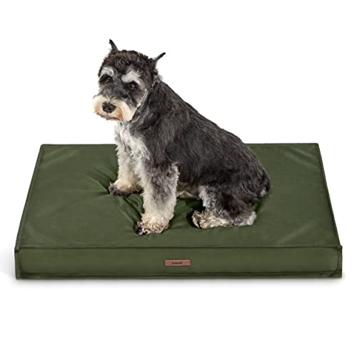 Lesure Waterproof Dog Bed for Medium Dogs – Outdoor Dog Bed with Oxford Fabric Surface, Medium Egg Orthopedic Foam Pet Bed with Removable and Durable Cover, Machine Washable