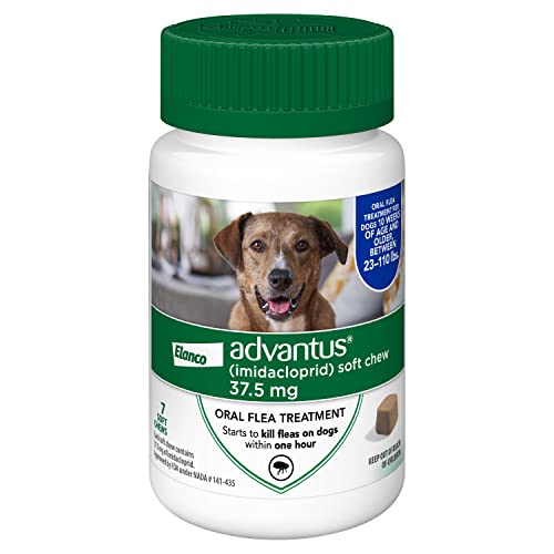 Advantus (Imidacloprid) Chewable Flea Treatment for Large Dogs, 7 Count, 23-110 Pound