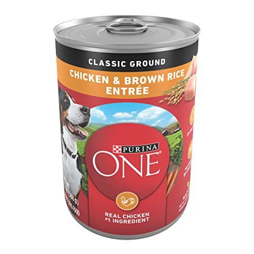 Purina ONE Classic Ground Chicken and Brown Rice Entree Adult Wet Dog Food – 13 Oz. Can, Pack of 12