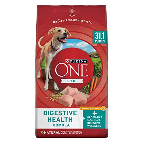 Purina One Plus Digestive Health Formula Dry Dog Food Natural with Added Vitamins, Minerals and Nutrients – 31.1 lb. Bag