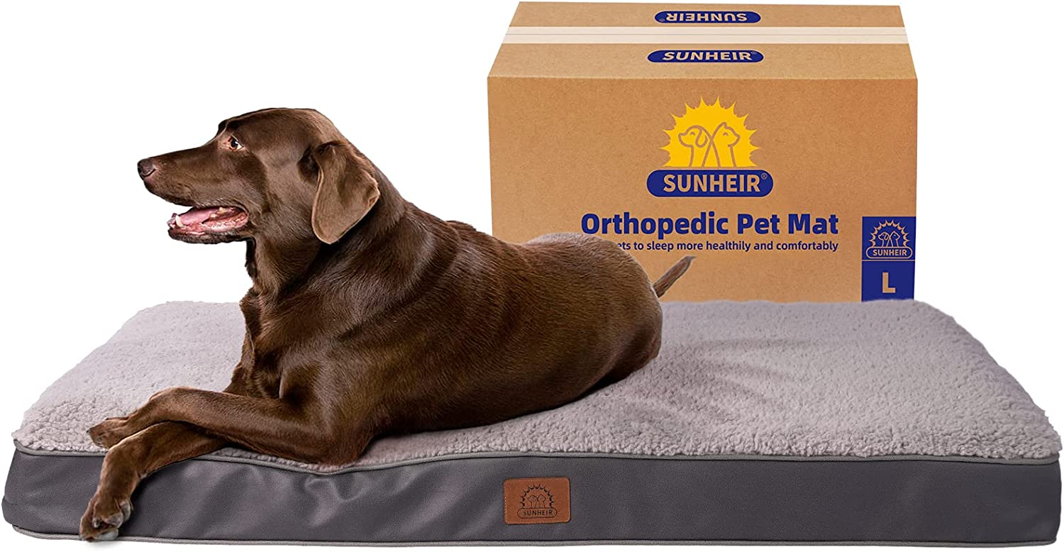 Sunheir Orthopedic Dog Bed Review