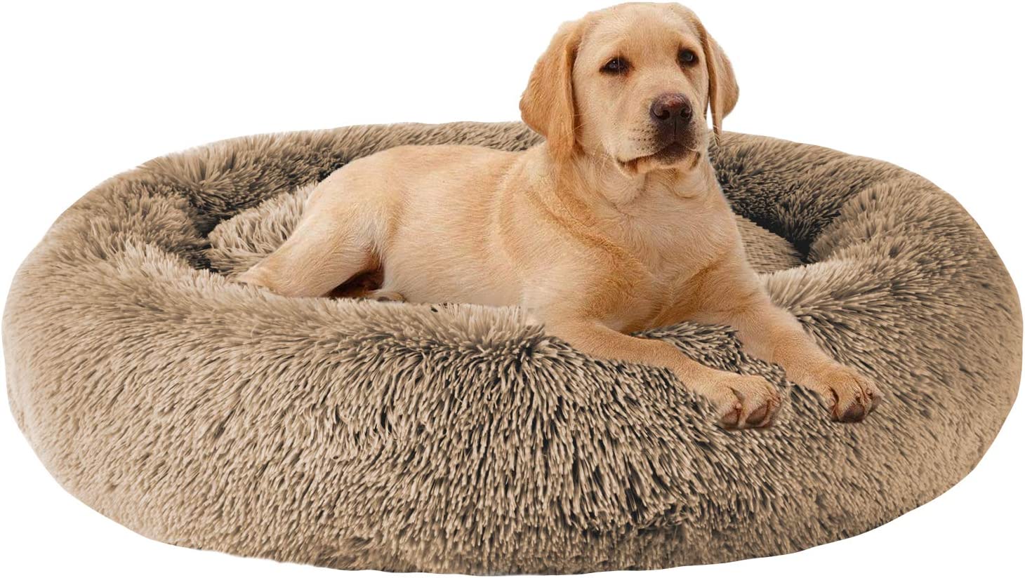 MFOX Calming Dog Bed Review