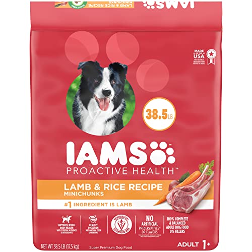IAMS Minichunks Adult Dry Dog Food Lamb & Rice Recipe Dog Kibble, 38.5 lb. Bag