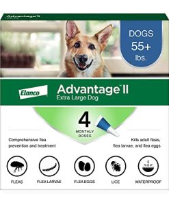 Advantage II XL Dog Vet-Recommended Flea Treatment & Prevention | Dogs Over 55 lbs. | 4-Month Supply