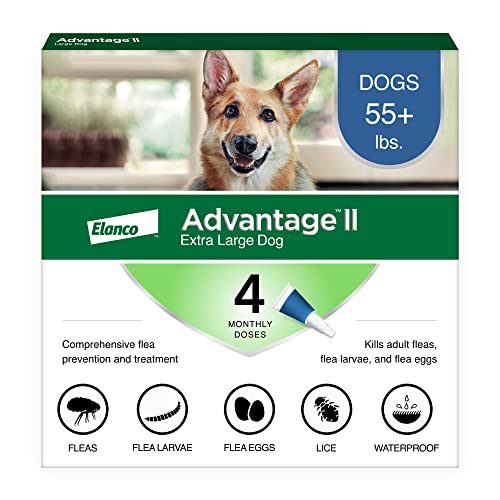 Advantage II XL Dog Vet-Recommended Flea Treatment & Prevention | Dogs Over 55 lbs. | 4-Month Supply