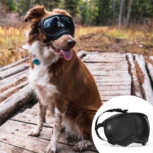 Rex Specs V2 Dog Goggles (Medium, Black)