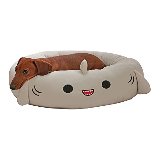 Squishmallows 20-Inch Gordon Shark Pet Bed – Small Ultrasoft Official Squishmallows Plush Pet Bed