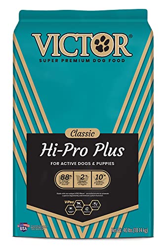 VICTOR Super Premium Dog Food – Hi-Pro Plus Dry Dog Food – 30% Protein, Gluten Free – for High Energy and Active Dogs & Puppies, 40lbs