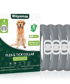 4 Pack Flea Collar for Dogs, Dog Flea and Tick Treatment, 8 Months Protection Flea and Tick Collar for Dogs, Waterproof Dog Flea Collar, Adjustable Collar Flea and Tick Prevention for Dogs, Grey