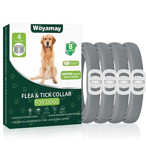 4 Pack Flea Collar for Dogs, Dog Flea and Tick Treatment, 8 Months Protection Flea and Tick Collar for Dogs, Waterproof Dog Flea Collar, Adjustable Collar Flea and Tick Prevention for Dogs, Grey