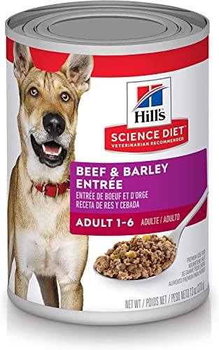 Hill’s Science Diet Wet Dog Food, Adult 1-6, Beef & Barley Entrée, 13 Ounce (Pack of 12)