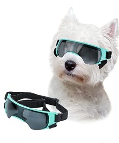 Lesypet Dog Sunglasses Small Breed, Dog Goggles for Small Dogs Windproof Anti-UV Glasses for Dogs Outdoor Eye Protection, Blue