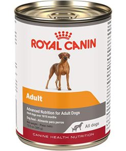 Royal Canin Canine Health Nutrition Adult In Gel Canned Dog Food, 13.5 Oz (Pack of 12)