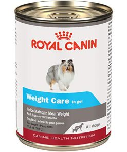 Royal Canin Canine Health Nutrition Weight Care In Gel Canned Dog Food, 13.5 oz Can (Case of 12) (Package may vary)