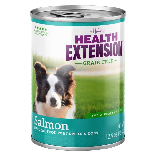 Health Extension Wet Dog Food Canned, Grain-Free, Natural Food for All Puppies & Dogs with Added Vitamins & Mineral, Salmon Recipe (12.5 Oz / 362 g) (Pack of 12)