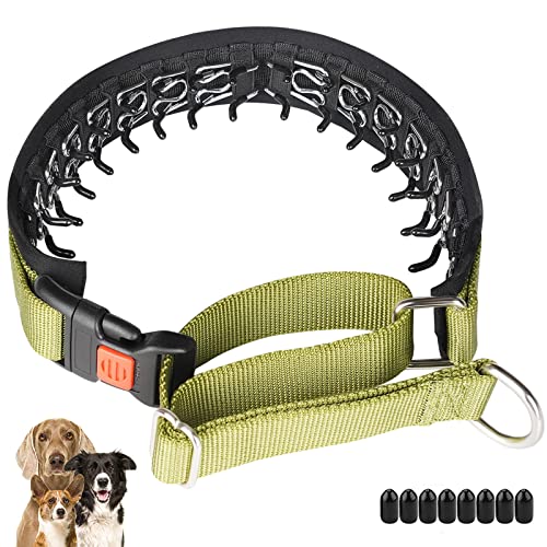 No Pull Dog Collar, Martingale Collar for Small Medium Large Dogs, Dog Anti Pull Collar with Buckle and Heavy Duty Nylon for Walking Training Hunting, Safe and Easy to Use (L, Green)