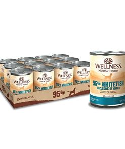 Wellness Natural Pet Food Wellness 95% Whitefish Natural Wet Grain Free Canned Dog Food, 13.2-Ounce Can (Pack of 12)