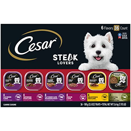 CESAR Adult Soft Wet Dog Food Steak Lovers Variety Pack with Real Meat, (36) 3.5 oz. Trays