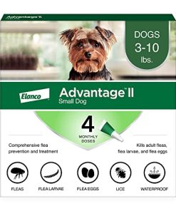 Advantage II Small Dog Vet-Recommended Flea Treatment & Prevention | Dogs 3-10 lbs. | 4-Month Supply